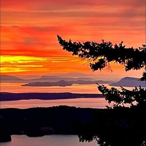 Meet your Posher, Posh